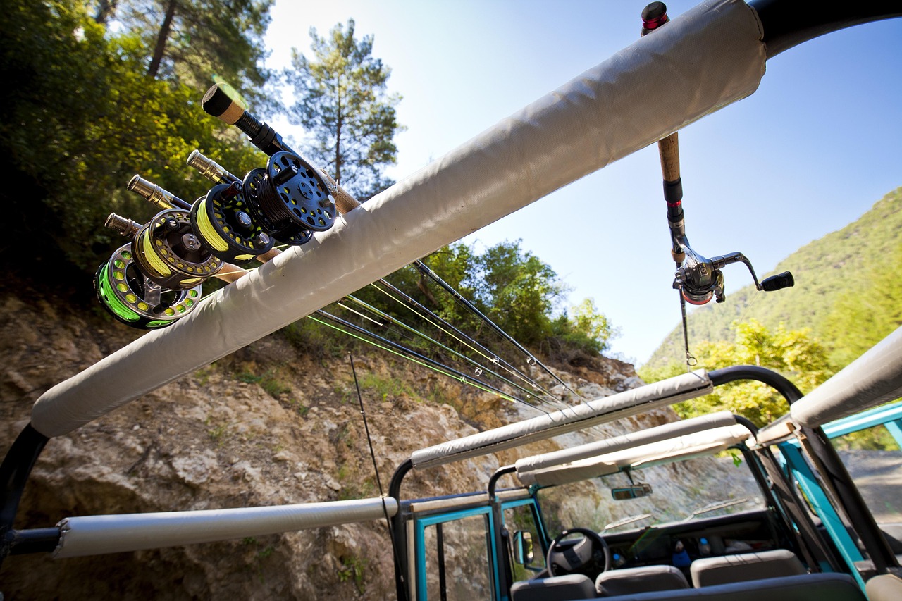 fishing, fishing reel, fishing rods, fly fishing, hobby, vehicle, transport, fishing line-5372272.jpg